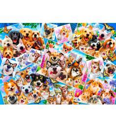 Bluebird Pet Selfie Collage Puzzle 1000 pièces