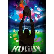 Puzzle Bluebird Stade de Rugby de 500 pièces