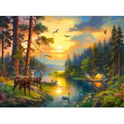 Puzzle Castorland Coucher De Soleil Sur La Rivière Forest 3000 p