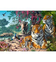 Castorland Tiger Sanctuary Puzzle 300 pièces