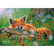 Puzzle Castorland Rêves Foxy de 500 Pieces