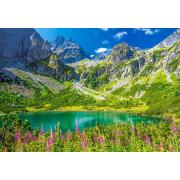 Puzzle Castorland Zelene Pleso, Tatras, Slovaquie 1000 Pcs