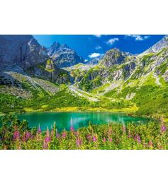 Puzzle Castorland Zelene Pleso, Tatras, Slovaquie 1000 Pcs