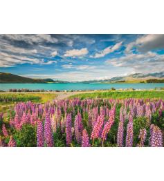 Puzzle Clementoni Lupins au lac Tekapo 1500 pièces