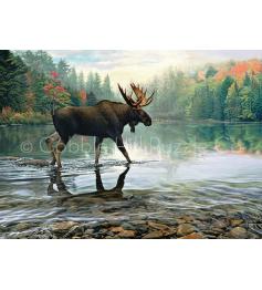 Cobble Hill Moose dans la rivière Puzzle 1000 pièces