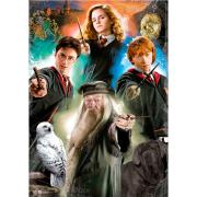 Puzzle Educa Harry Potter 500 pièces