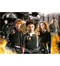 Puzzle Educa Harry Potter Effet Néon 1000 Pièces
