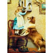 Eurographics Puzzle Fille et son Sheltie 1000 pièces