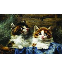 Puzzle Or Couple de Chatons 500 Pièces