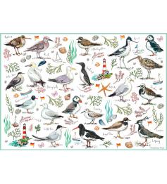 Puzzle de 500 pièces Oiseaux de mer Otter House