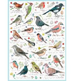 Otter House Wild Bird Collection Puzzle 1000 pièces