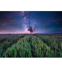 Puzzle Ravensburger Ciel nocturne au-dessus du champ de maïs 150