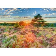 Puzzle Schmidt Coucher de soleil sur la lande 1000 pieces