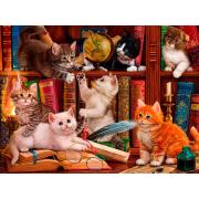 Puzzle SunsOut Chatons de Bibliothèque de 1000 Pieces