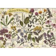 Puzzle Trefl Herbier: Herbes Médicinales de 500 pièces